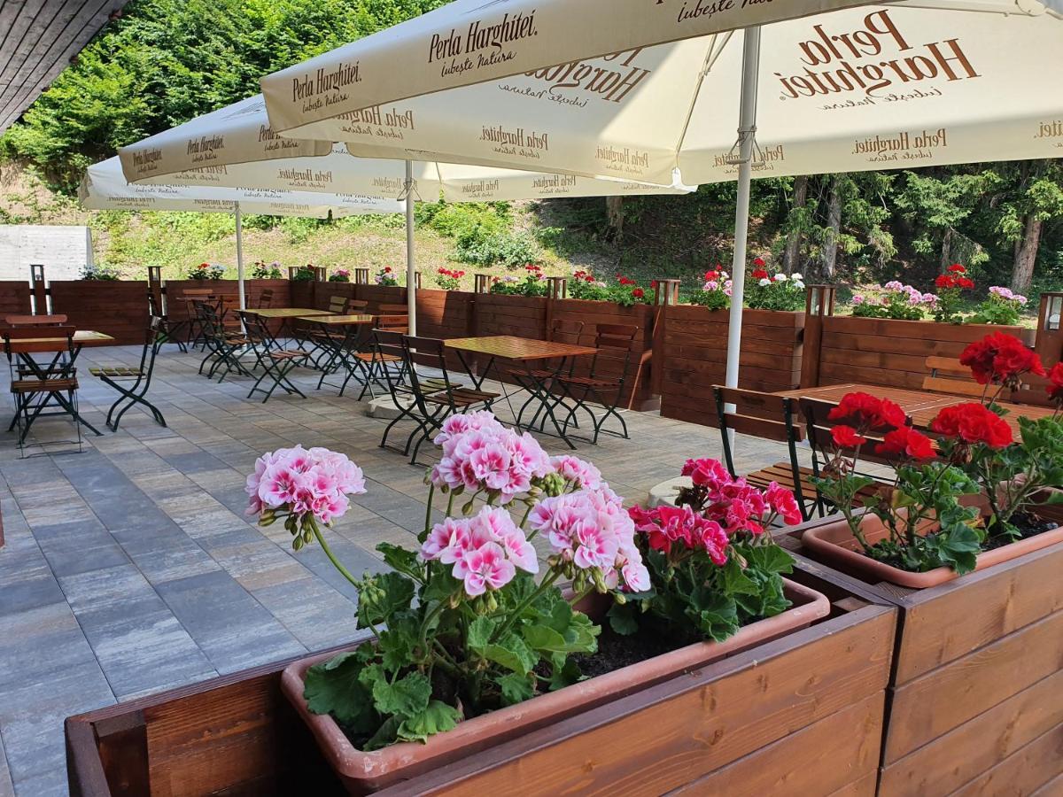 Monte Cervo Bio Hotel&Spa Covasna Buitenkant foto