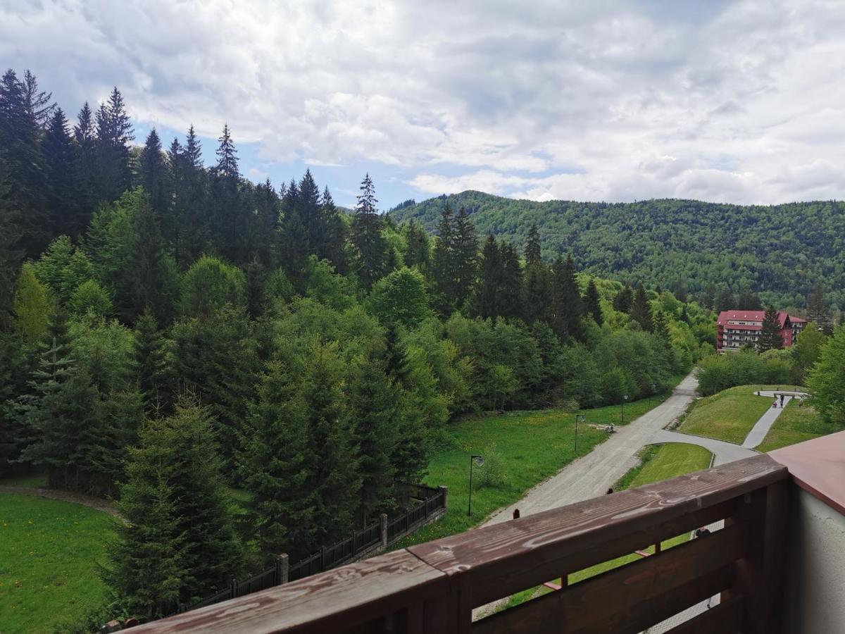 Monte Cervo Bio Hotel&Spa Covasna Buitenkant foto